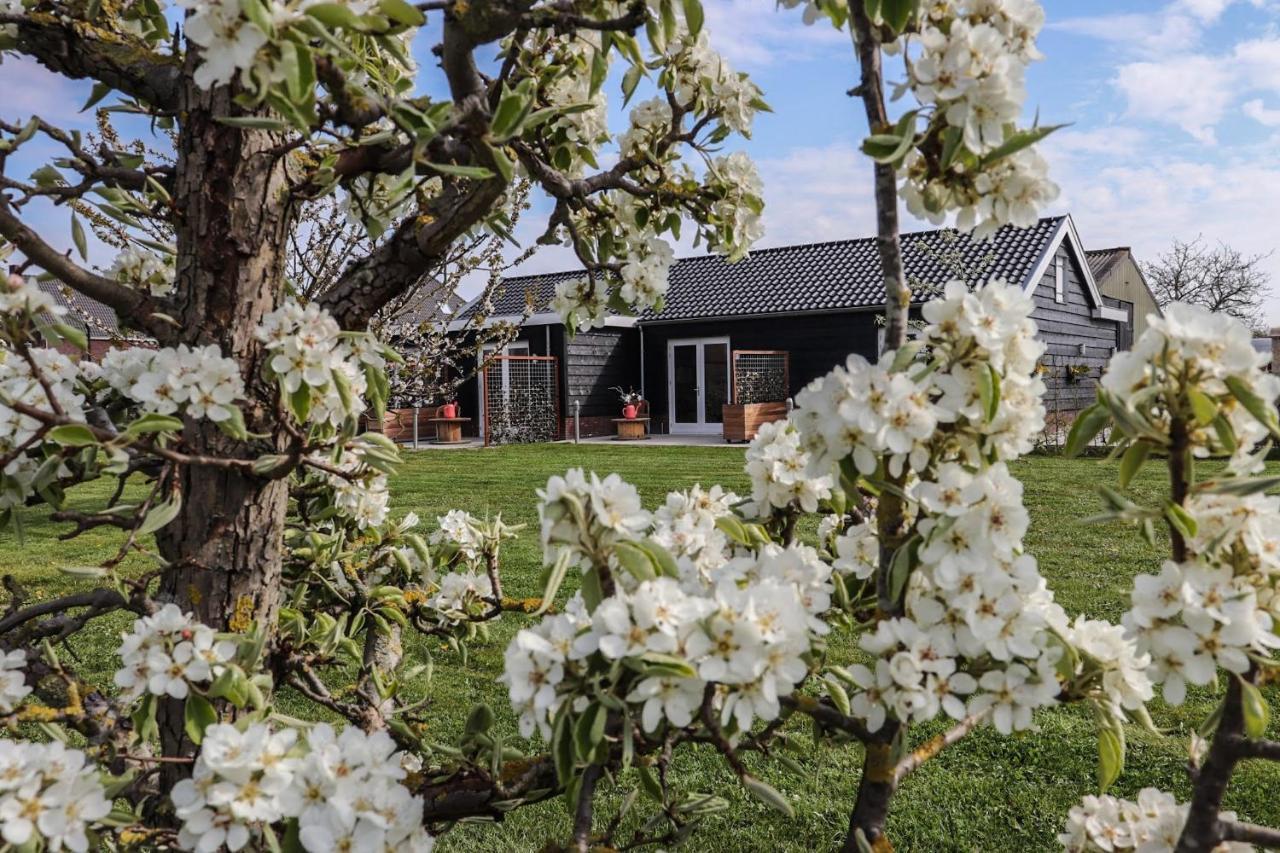 B&B Buutegeweun Sommelsdijk Bagian luar foto