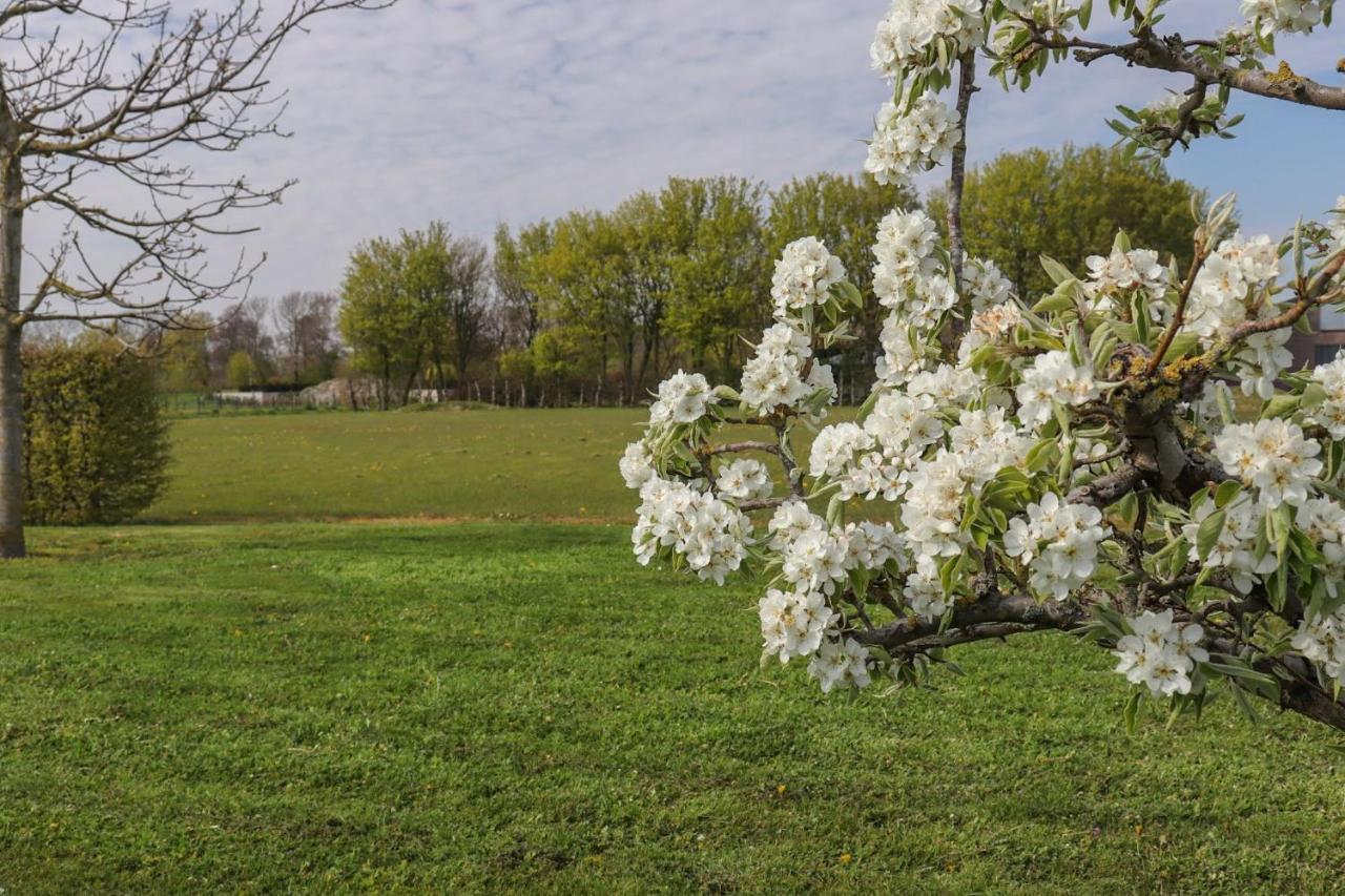 B&B Buutegeweun Sommelsdijk Bagian luar foto