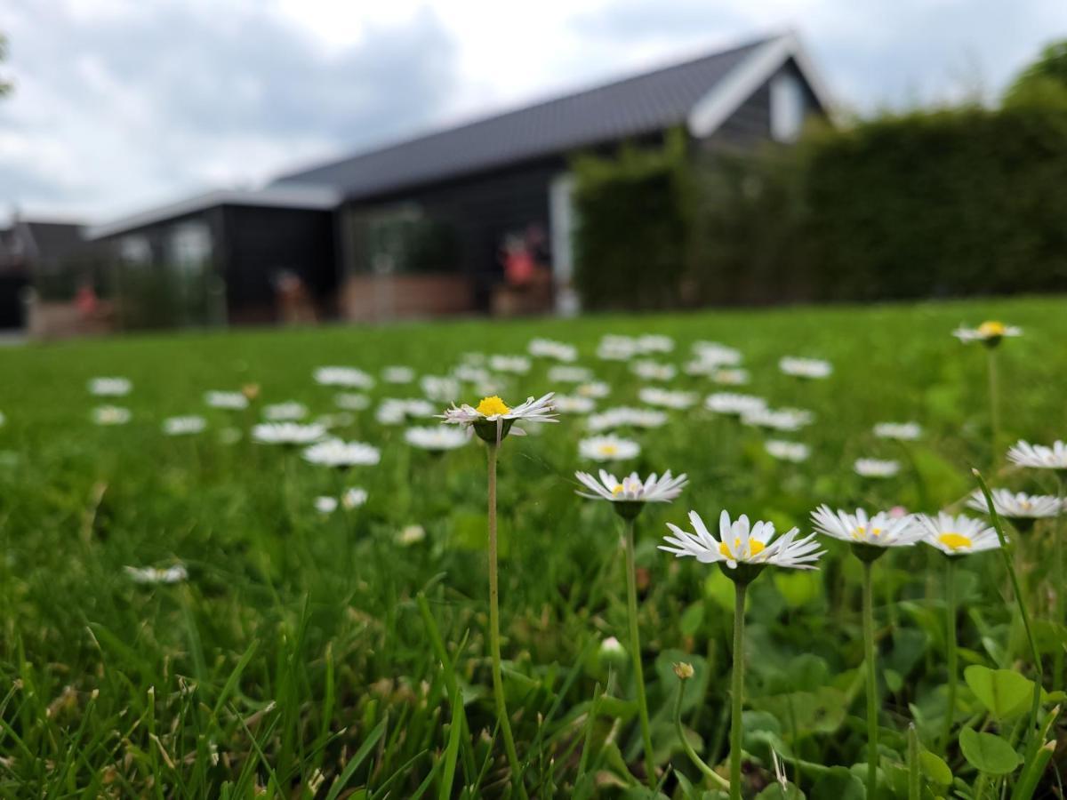 B&B Buutegeweun Sommelsdijk Bagian luar foto
