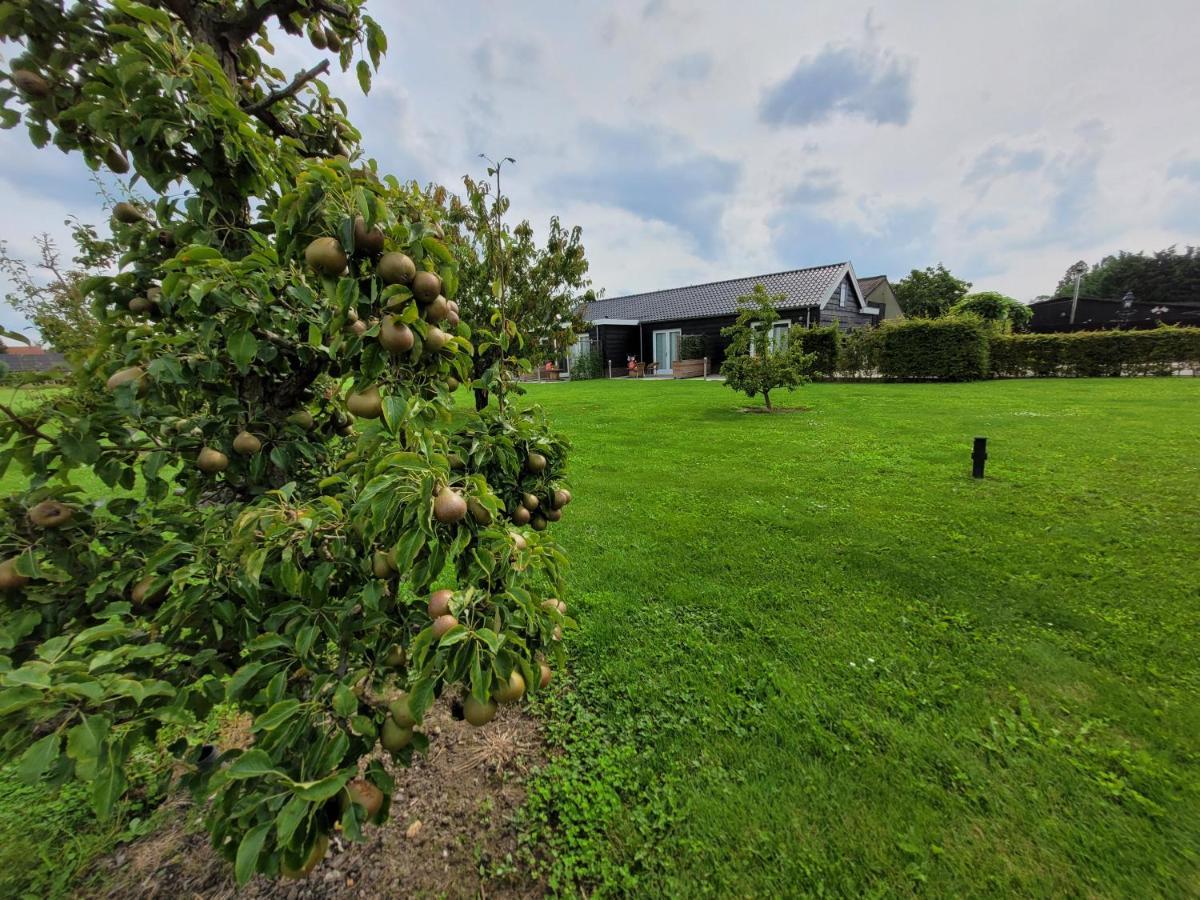 B&B Buutegeweun Sommelsdijk Bagian luar foto