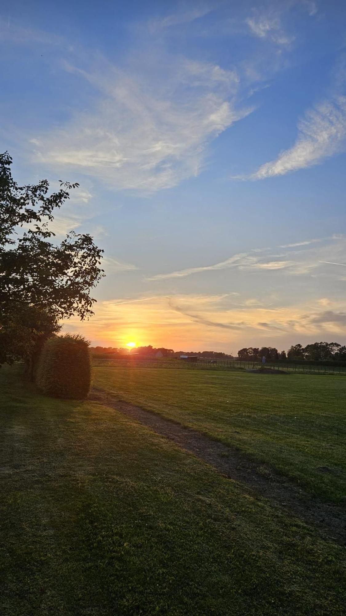 B&B Buutegeweun Sommelsdijk Bagian luar foto